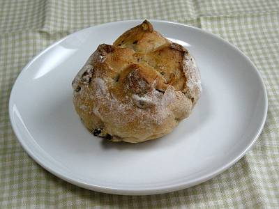 comus_080520_1-s.JPG