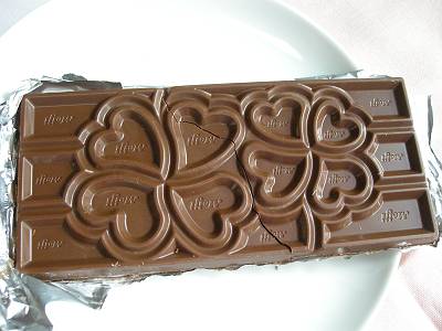 meiji_080529_2-s.JPG