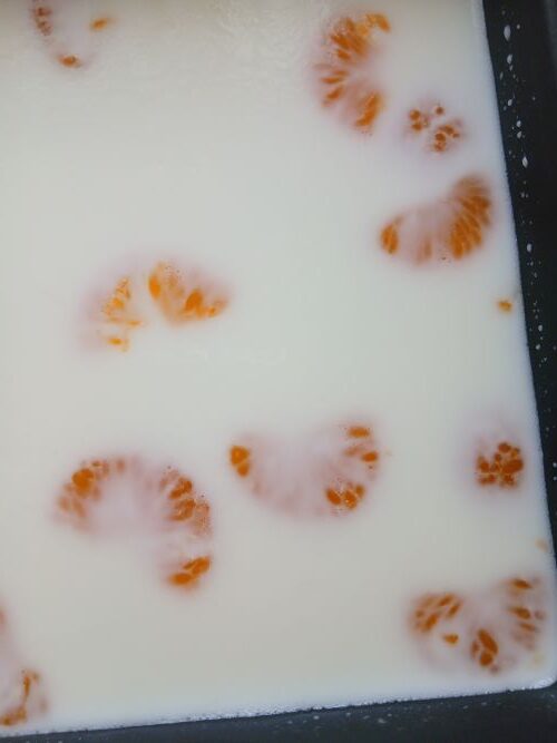 簡単♪ゼラチンで牛乳寒天