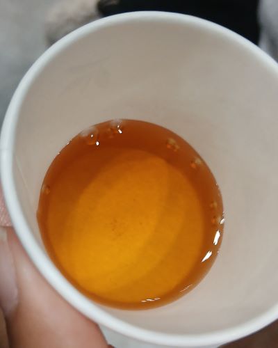 LUPICIA★2025年6月お茶の祭典「グランマルシェ」at パシフィコ横浜