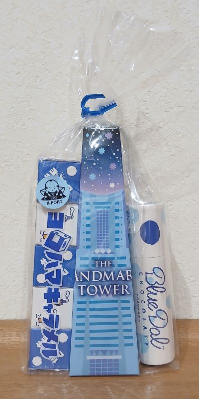 横浜ランドマークタワー展望フロア★スカイガーデン土産