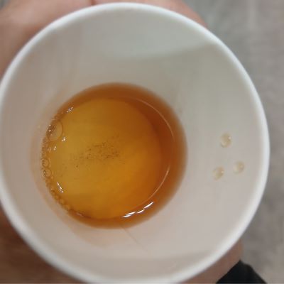 LUPICIA★お茶の祭典「グランマルシェ 2025年11月 at パシフィコ横浜」試飲&お買い物♪