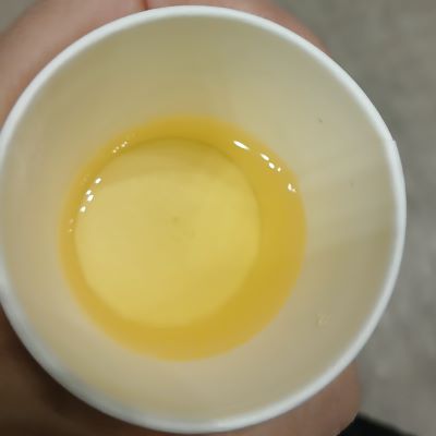 LUPICIA★お茶の祭典「グランマルシェ 2025年11月 at パシフィコ横浜」試飲&お買い物♪