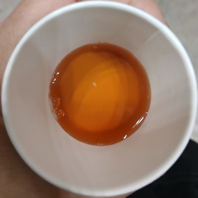 LUPICIA★お茶の祭典「グランマルシェ 2025年11月 at パシフィコ横浜」試飲&お買い物♪