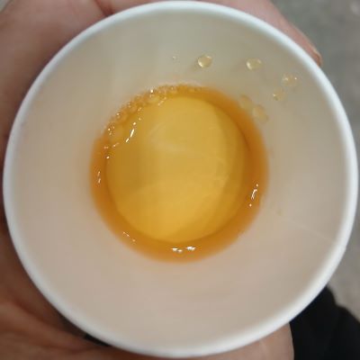 LUPICIA★お茶の祭典「グランマルシェ 2025年11月 at パシフィコ横浜」試飲&お買い物♪