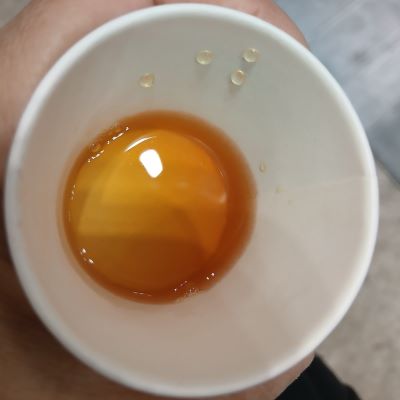 LUPICIA★お茶の祭典「グランマルシェ 2025年11月 at パシフィコ横浜」試飲&お買い物♪