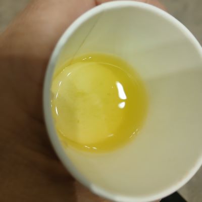 LUPICIA★お茶の祭典「グランマルシェ 2025年11月 at パシフィコ横浜」試飲&お買い物♪