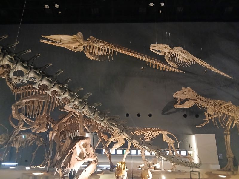 久しぶりの「神奈川県立生命の星・地球博物館」★やっと行けたよ！「Plenty’s」