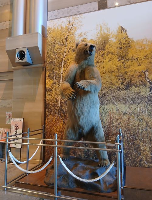 久しぶりの「神奈川県立生命の星・地球博物館」★やっと行けたよ！「Plenty’s」