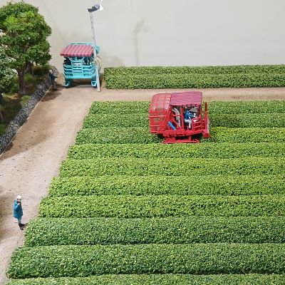 「お茶の文化創造博物館」「お〜いお茶ミュージアム」「鉄道歴史展示室」鉄道開業の地は見どころ満載！