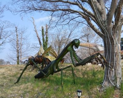 母娘ふたり旅★千葉1泊2日(2日目)★こびと大発見 in 東京ドイツ村