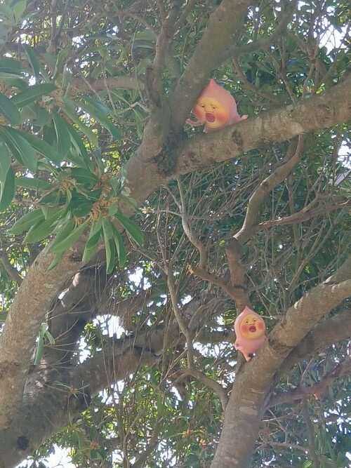 母娘ふたり旅★千葉1泊2日(2日目)★こびと大発見 in 東京ドイツ村