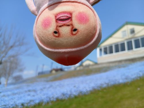 母娘ふたり旅★千葉1泊2日(2日目)★こびと大発見 in 東京ドイツ村