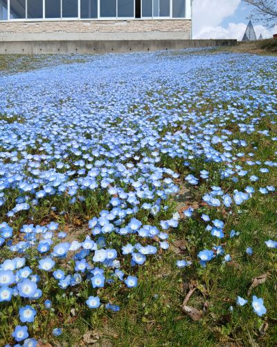 母娘ふたり旅★千葉1泊2日(2日目)★こびと大発見 in 東京ドイツ村