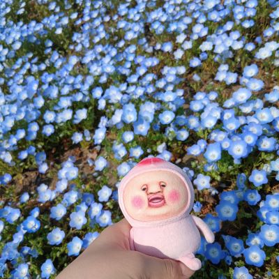 母娘ふたり旅★千葉1泊2日(2日目)★こびと大発見 in 東京ドイツ村