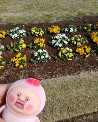 母娘ふたり旅★千葉1泊2日(2日目)★こびと大発見 in 東京ドイツ村