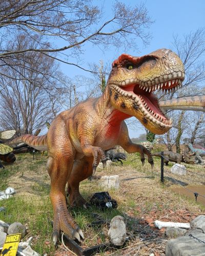 母娘ふたり旅★千葉1泊2日(2日目)★こびと大発見 in 東京ドイツ村