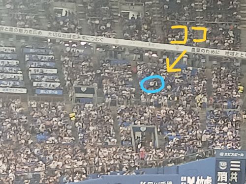 プロ野球観戦 at ハマスタ（ベイスターズ対ドラゴンズ）