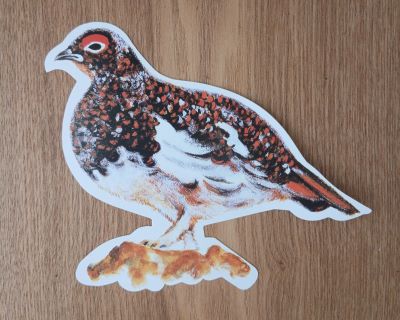 信州のお土産「雷鳥の里」